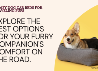 Best Dog Car Bed Options for Comfy Travel